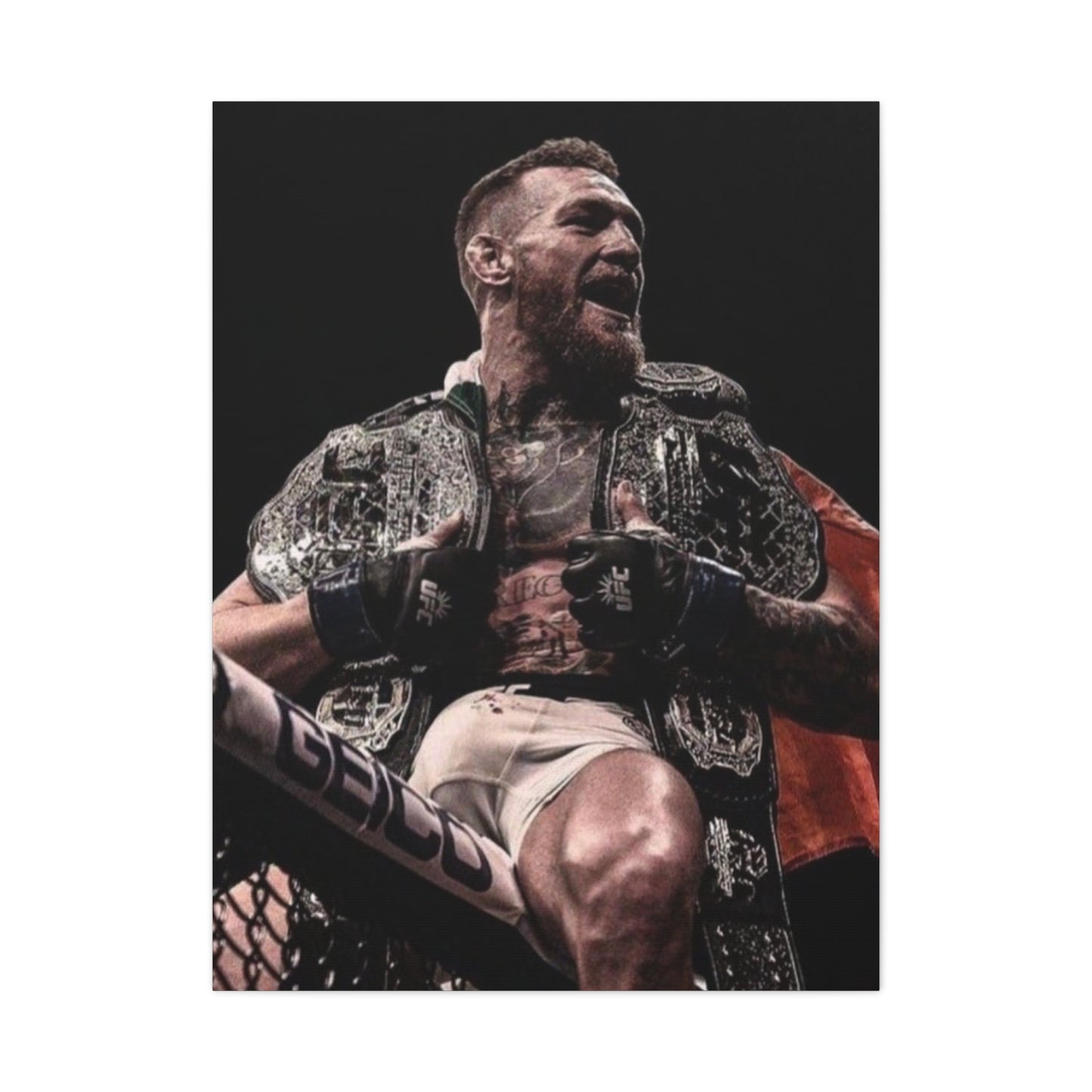 McGregor Douuble Champ matte canvas ๐