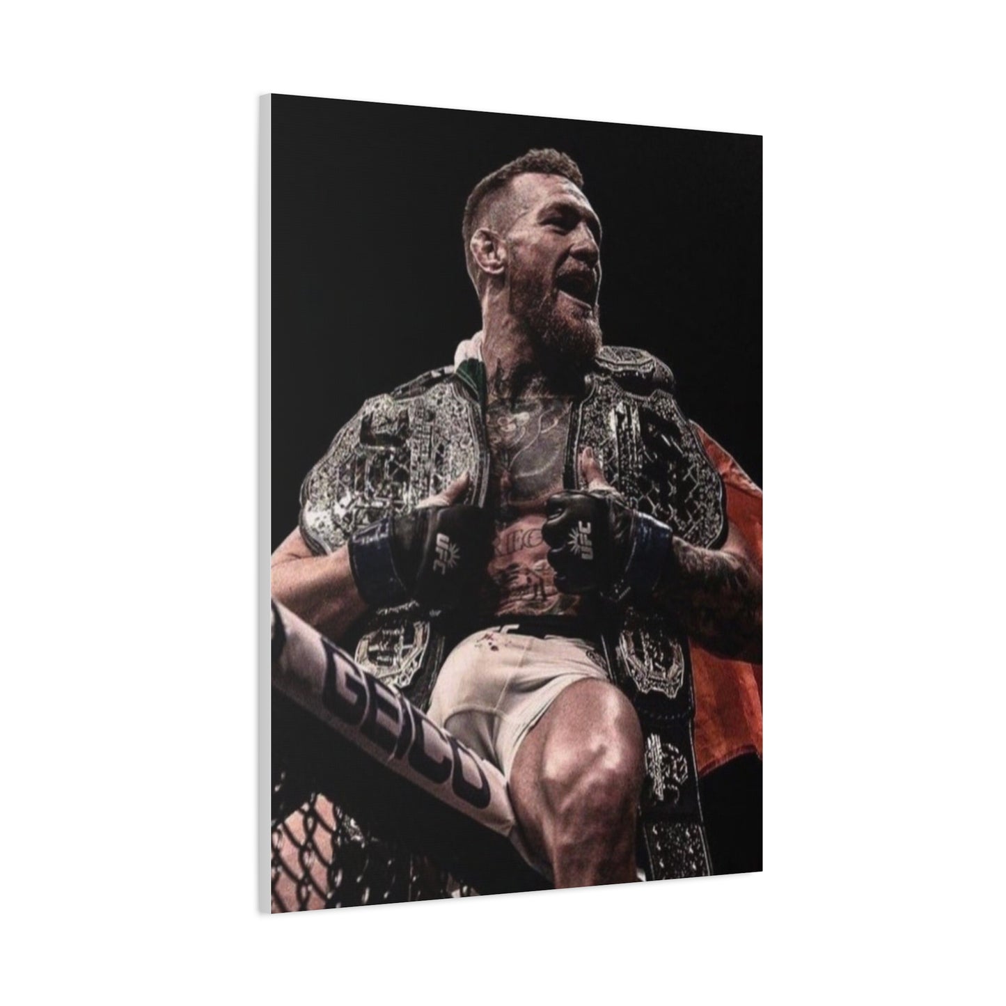 McGregor Douuble Champ matte canvas ๐